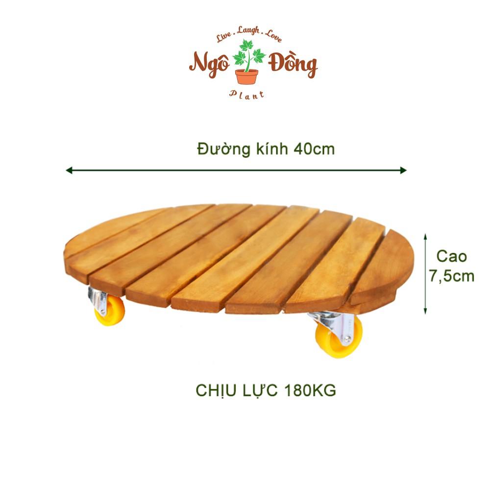 Bộ 2 Đế Lót Để Chậu Cây Cảnh Gỗ Tràm R40cm Có Bánh Xe Tròn Chịu Lực Lên Đến 180kg