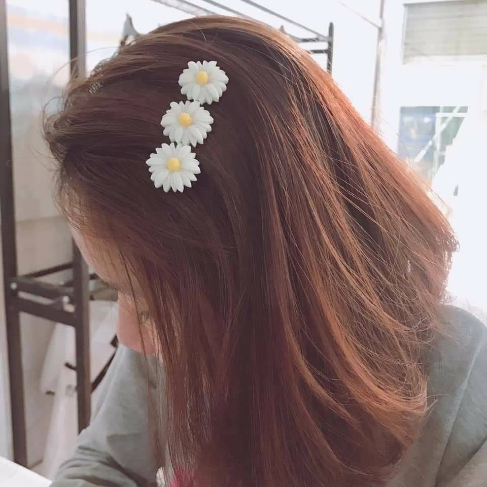 Set 3 kẹp tóc hoa Cúc họa mi siêu hot