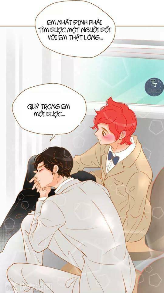 tân lang yếu tòng tiểu dưỡng khởi chapter 19 58