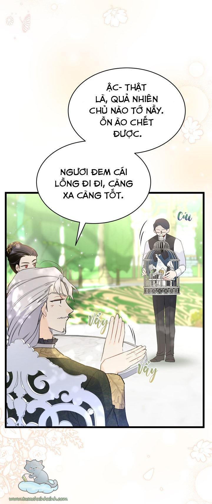 quan hệ cộng sinh giữa báo đen và thỏ trắng chapter 61 6