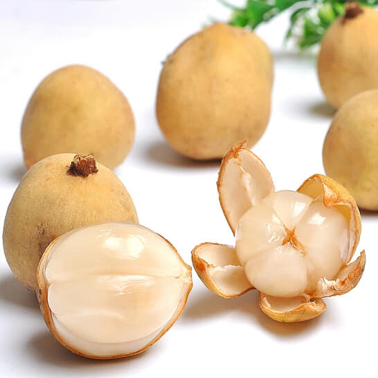 Cây giống Bòn bon thái ghép, 1,5 năm cho trái _Nam trân quả