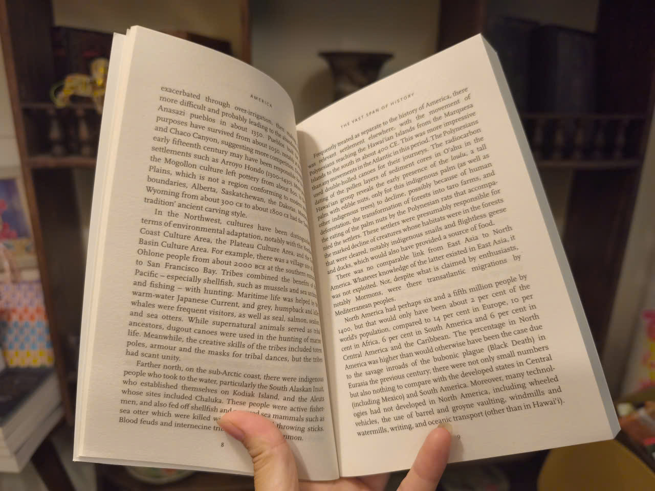 Sách - A Brief History of America by Jeremy Black | American History English Book | Sách ngoại văn