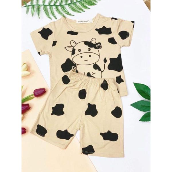 BỘ CỘC BÒ THUN LẠNH MẪU MỚI