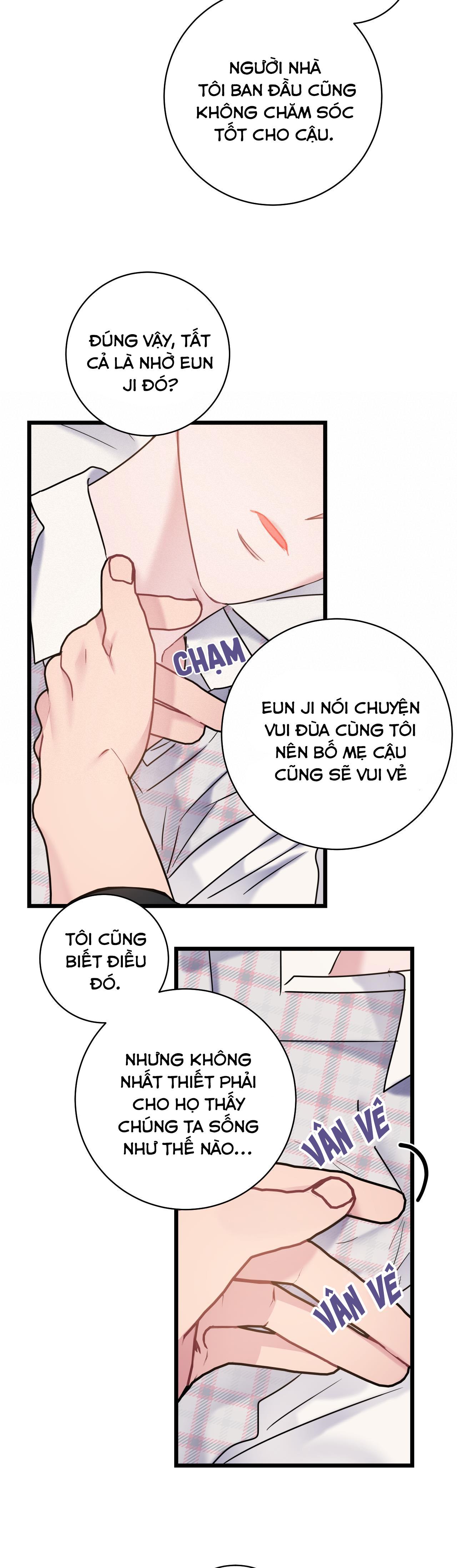 TÌNH YÊU BÌNH DỊ NHẤT chapter 24