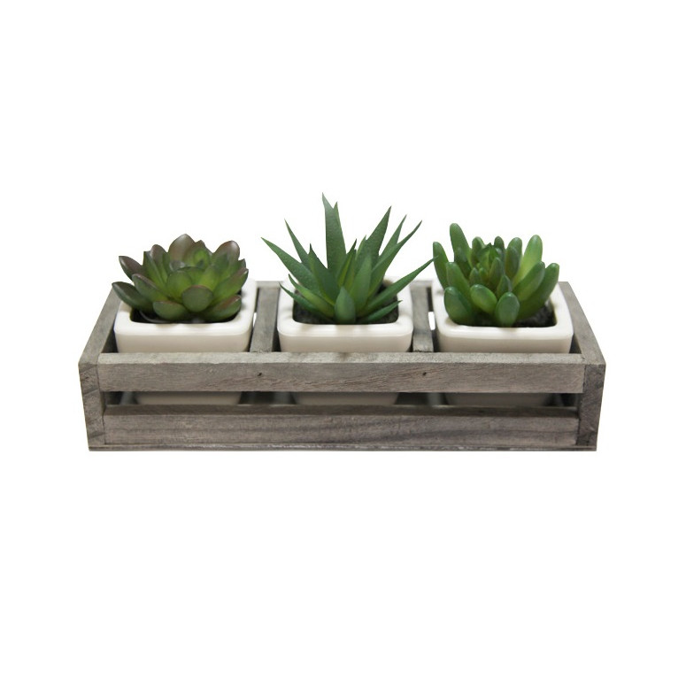 Bộ 3 cây sen đá nhân tạo mini kèm kệ gỗ, kích thước 20 x 4 x 7cm