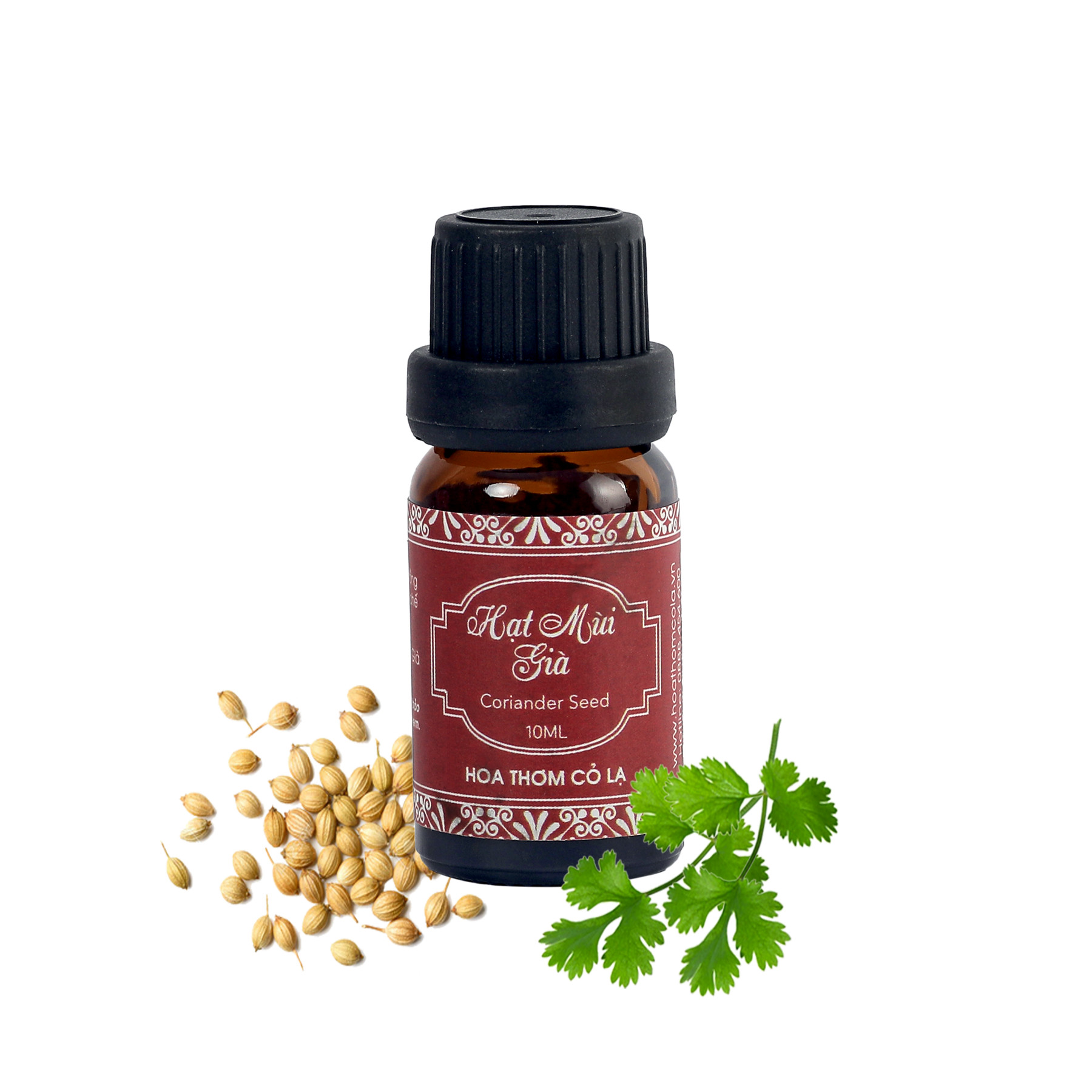 Tinh Dầu Hạt Mùi Già - Coriander Seed Essential Oil 10ml  - Hoa Thơm Cỏ Lạ