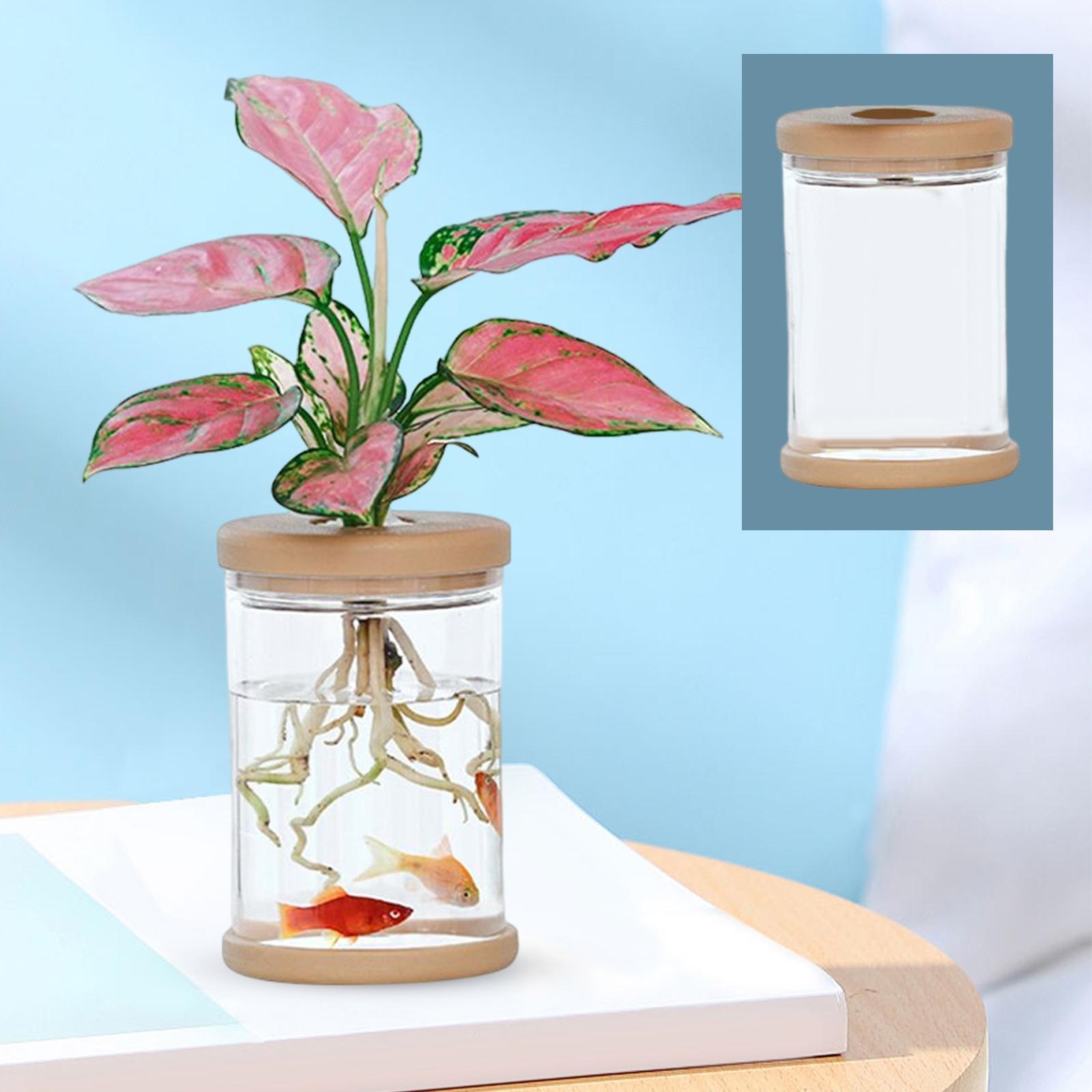 Tabletop   bookshelf ornament gift 9cmx12.8cm