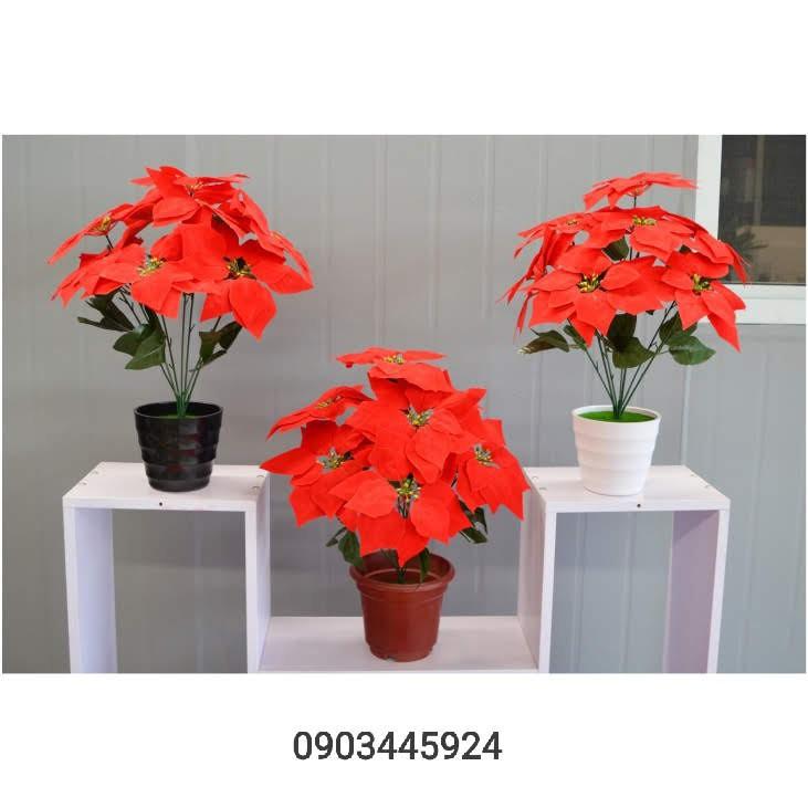 Cây Trạng Nguyên Nhựa Pvc