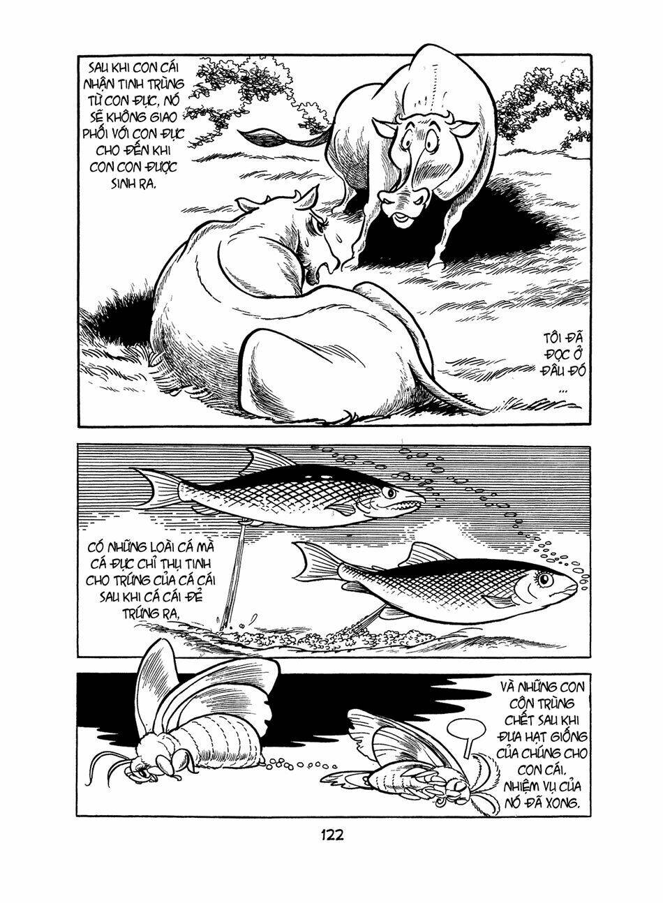 apollo’s song chapter 2.1 43