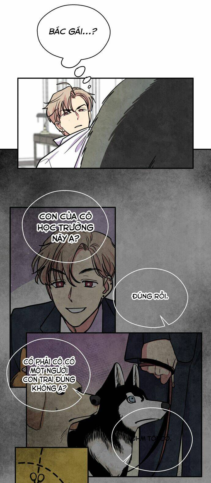 tai sói và mũ đỏ chapter 35 15