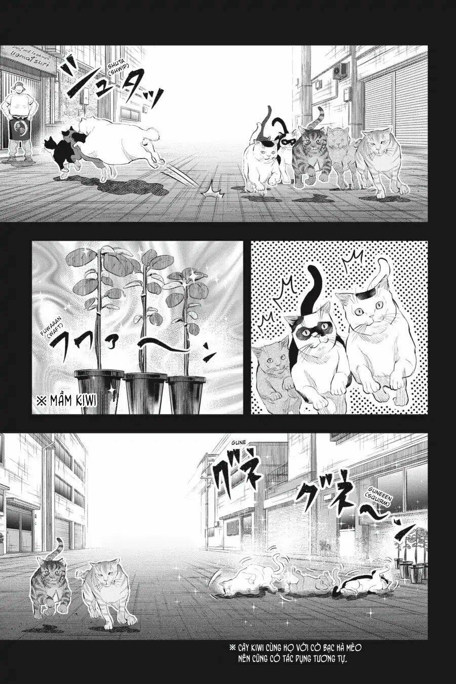 nyankees chapter 6 18