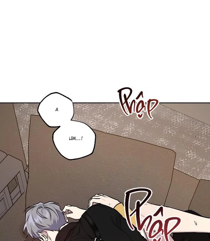 thần tượng đến rồi!? chapter 42 63