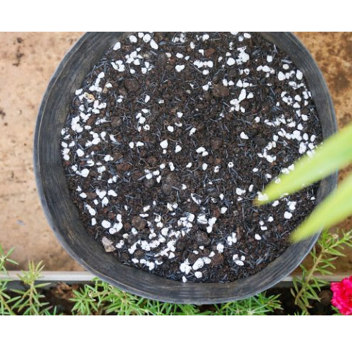 Đá Perlite Ficoco – Đá trân châu túi 500g