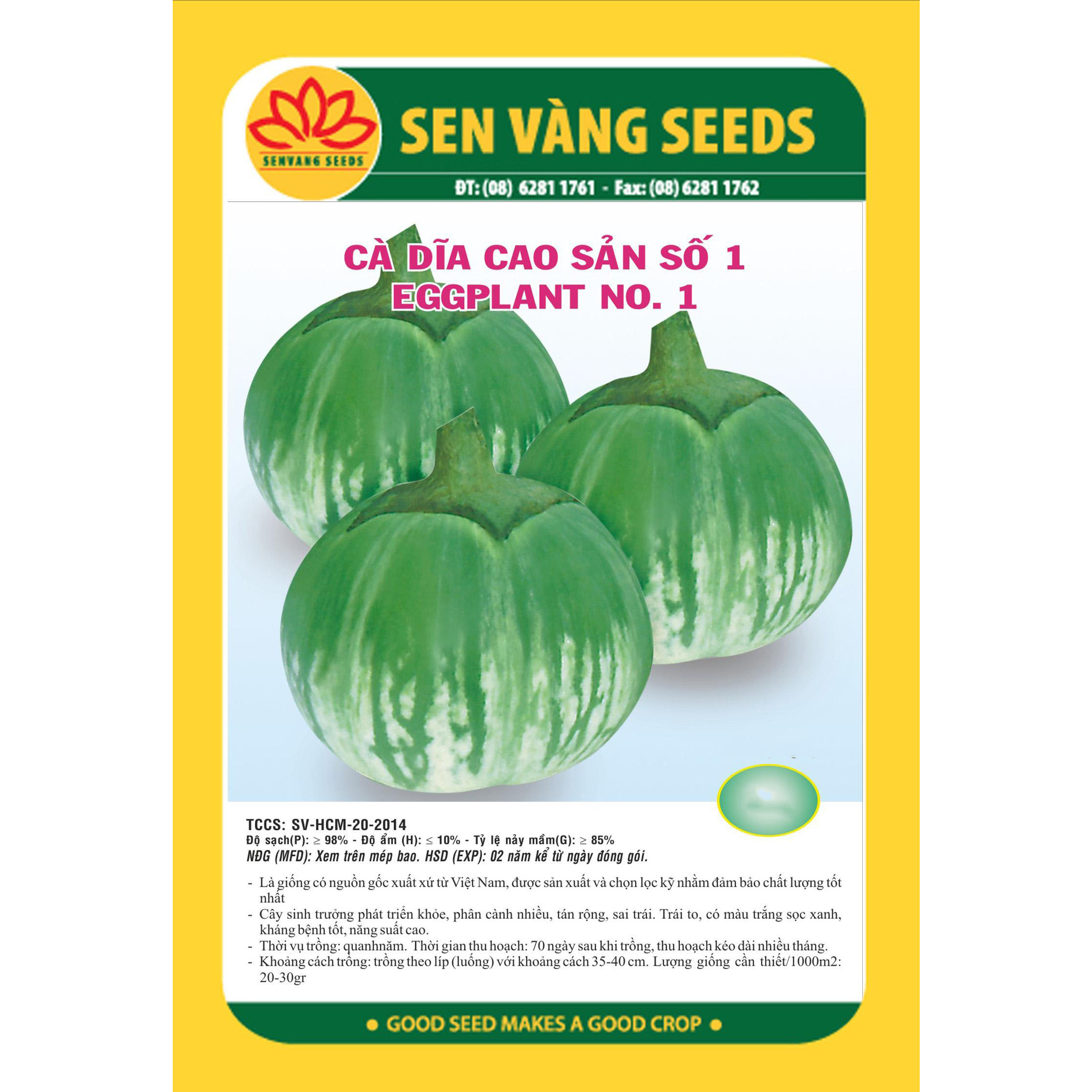 Hạt giống cà dĩa cao sản giống ngắn ngày -  năng suất cao VTS017