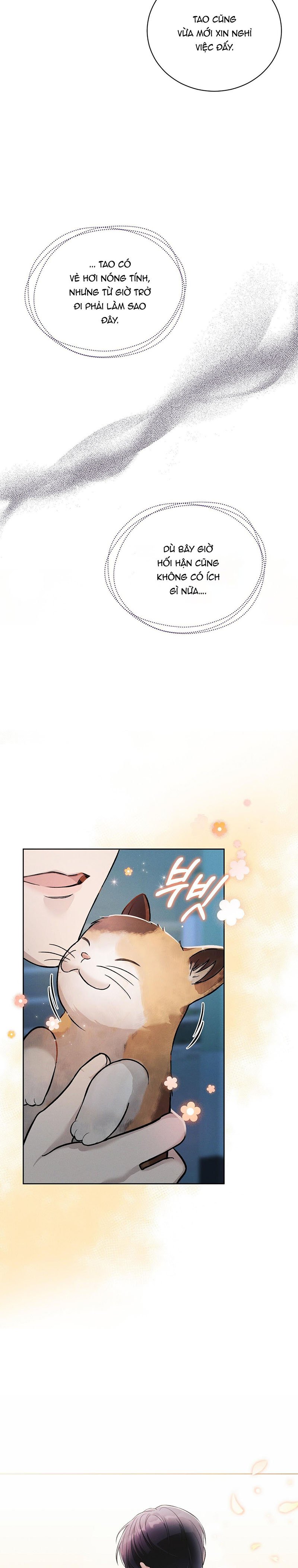 giải mã bí mật chapter 2 27