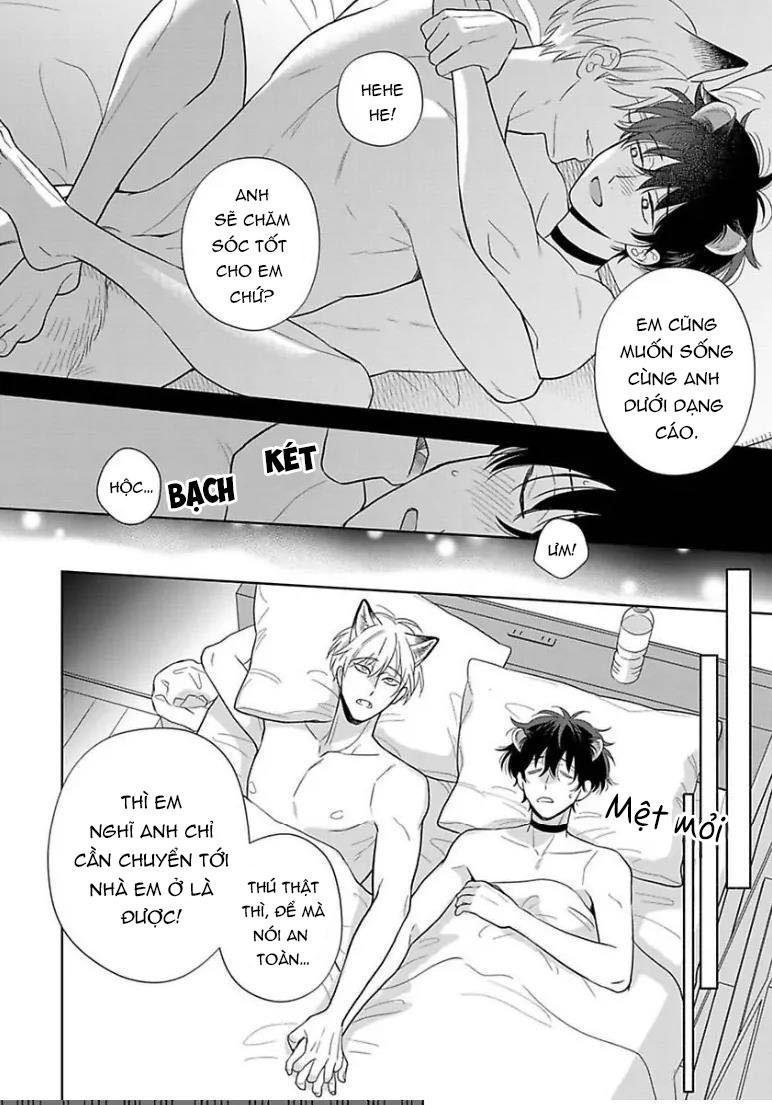 khiến một omega tuyệt hảo rít lên chapter 11 28