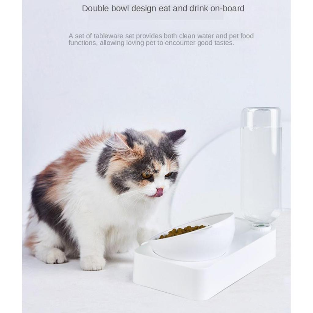 Cat Dog Feeder 2 In 1 Automatic Water Bowl And Food Bowl Double Pet Bowls - Spine Protective Food Bowl & Automatic Water Dispenser