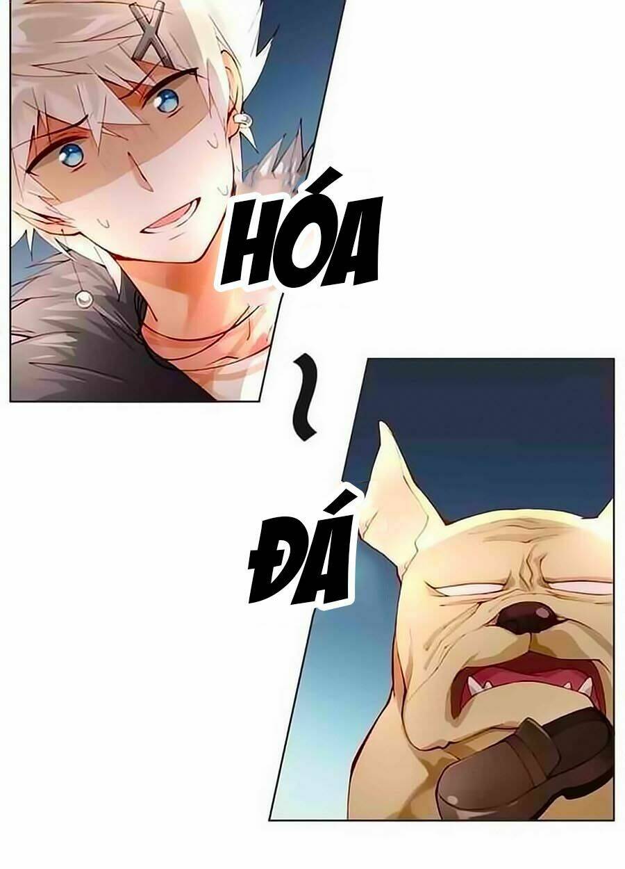 trọng sinh chi tinh quang thôi xán chapter 13 7