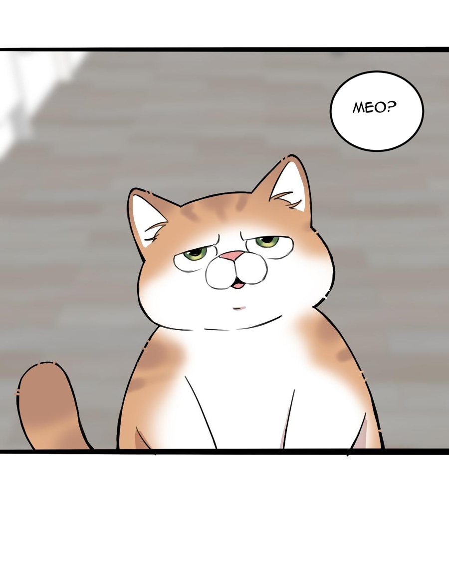 rốt cuộc bé mèo đang nghĩ gì ? chapter 11 10