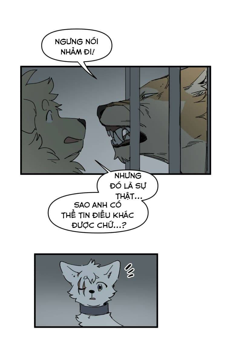 lumine - cội nguồn ánh sáng chapter 144 34