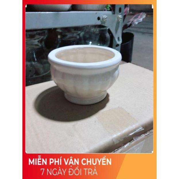 Chậu Trồng Cây