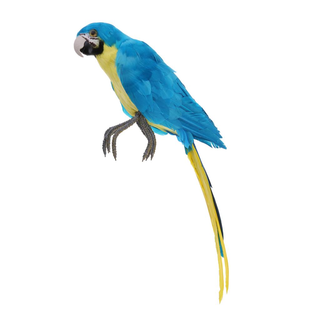 Lông Vũ Nhân Tạo Xanh Chim Vẹt Thủ Công Taxidermy Nhà Nghệ Thuật Trang Trí Vật Trang Trí