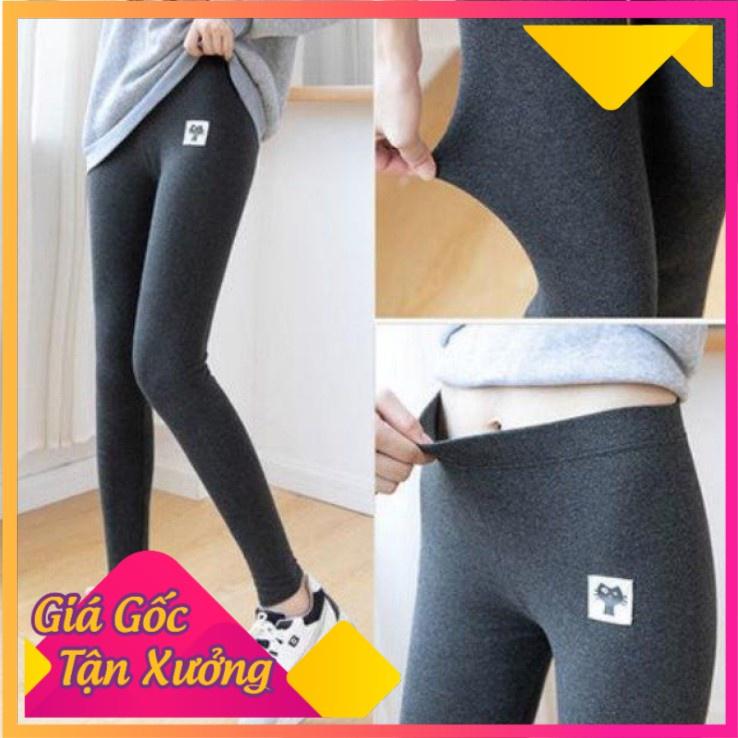 Quần Legging Mèo Lót lông
