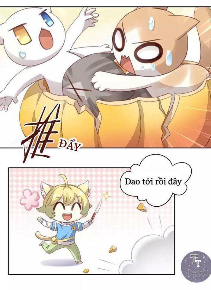 dưới móng vuốt mèo chapter 18 33