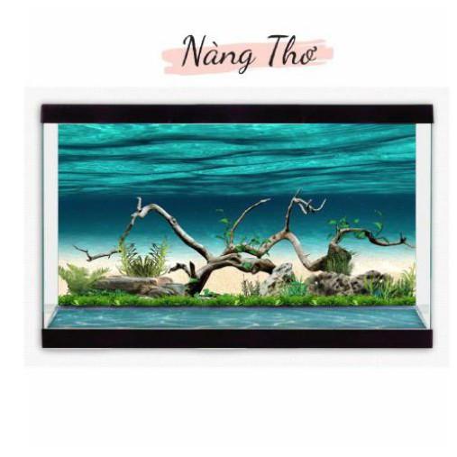Decal dán hồ cá 3D