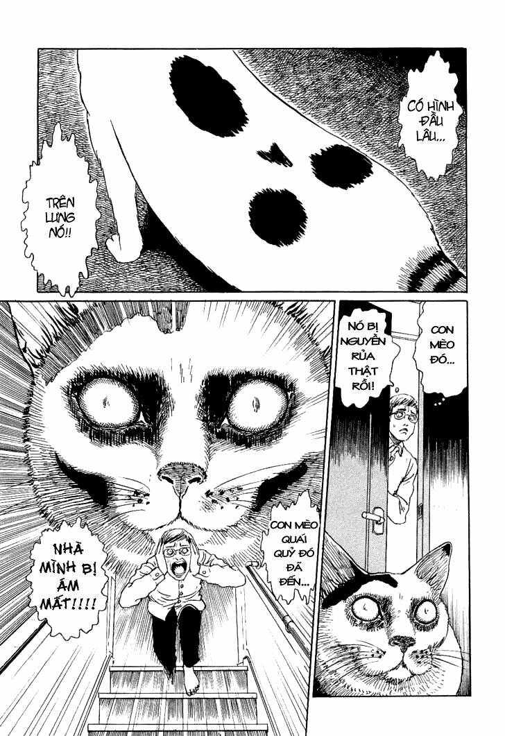 ito junji cat's diary chapter 2 5
