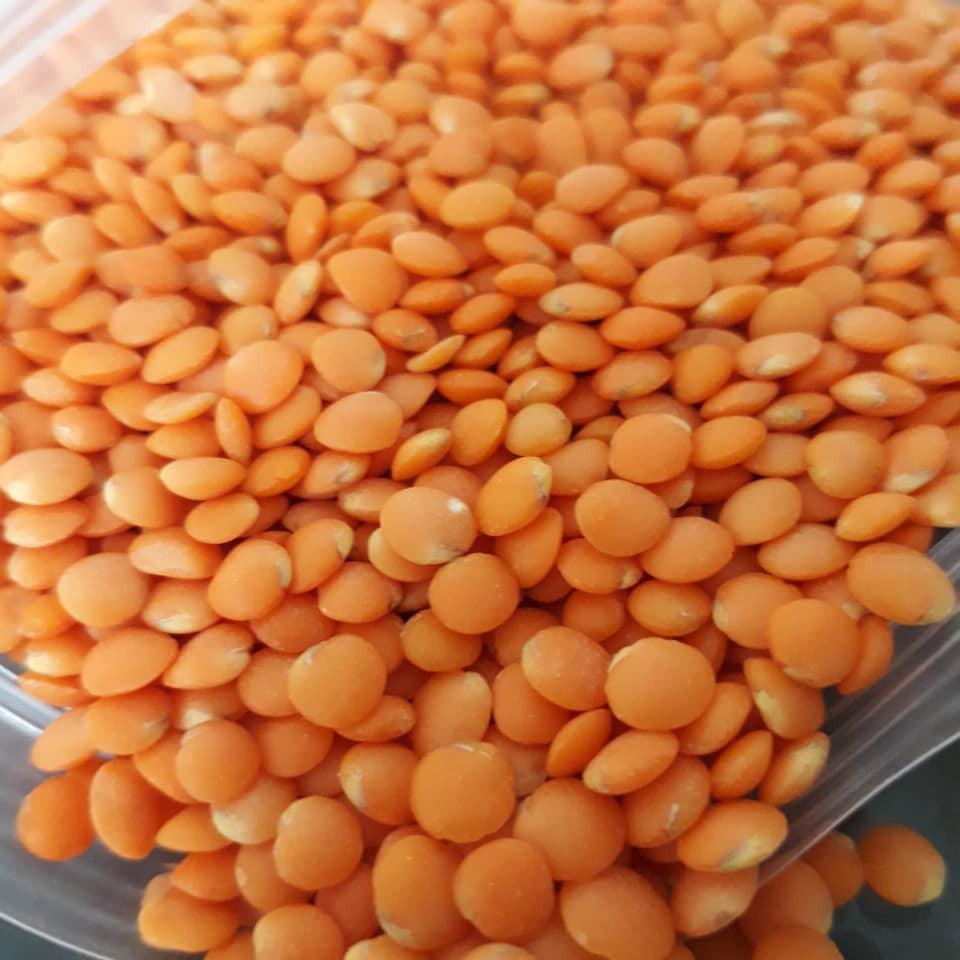 Hạt lăng đỏ dinh dưỡng cho các bé hamster gói 100g