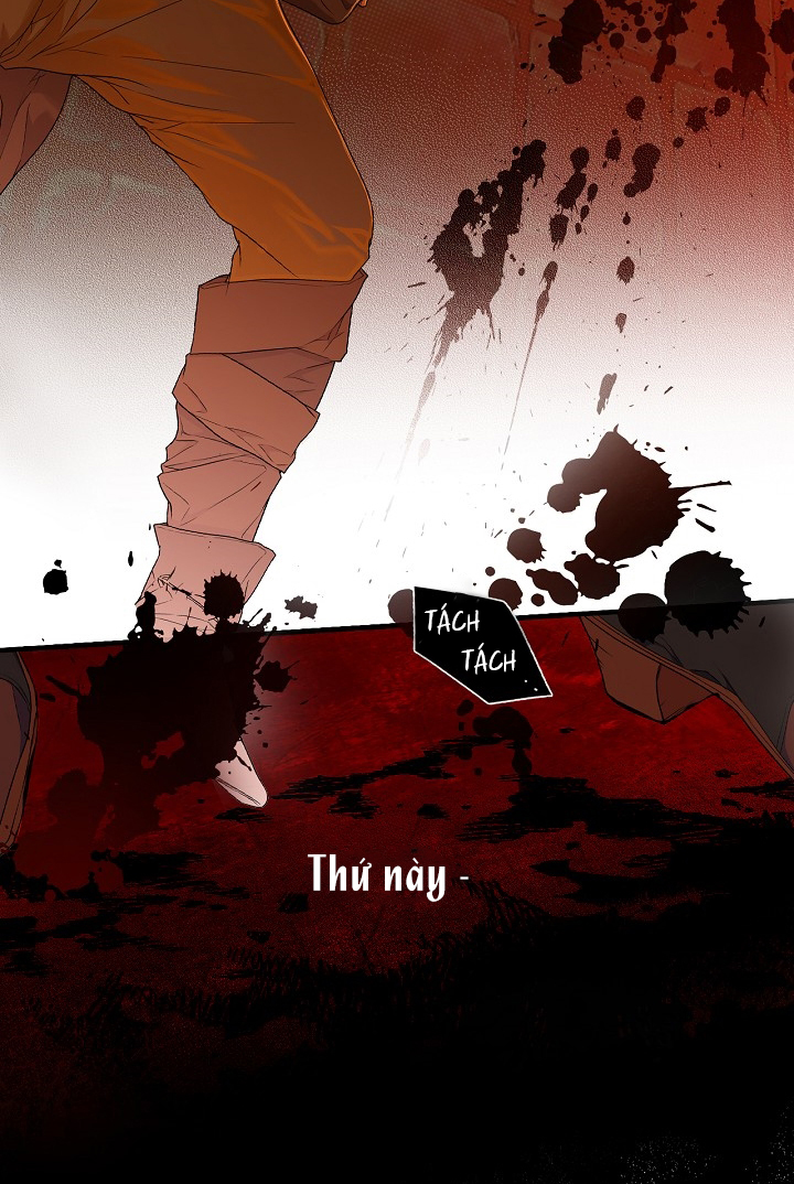 tiểu thư bí ẩn chapter 18 61