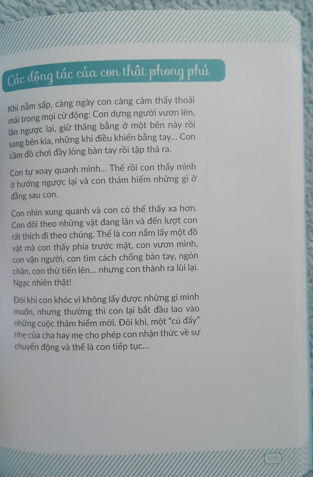 Chuyến Phiêu Lưu Của Những Bước Đi