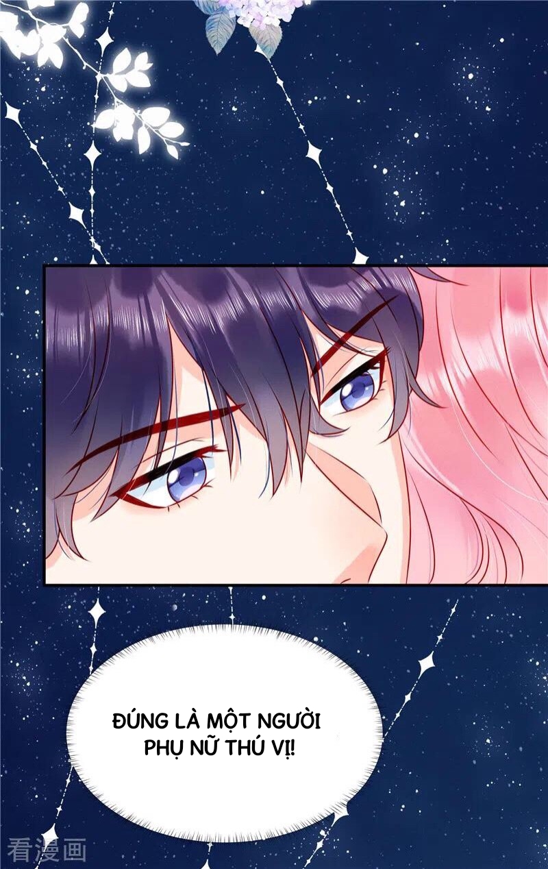 cô thỏ nhỏ của chủ tịch sói chapter 2 5