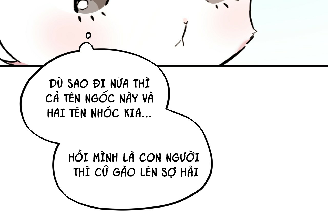 những chú thỏ của hapypy chapter 2 88