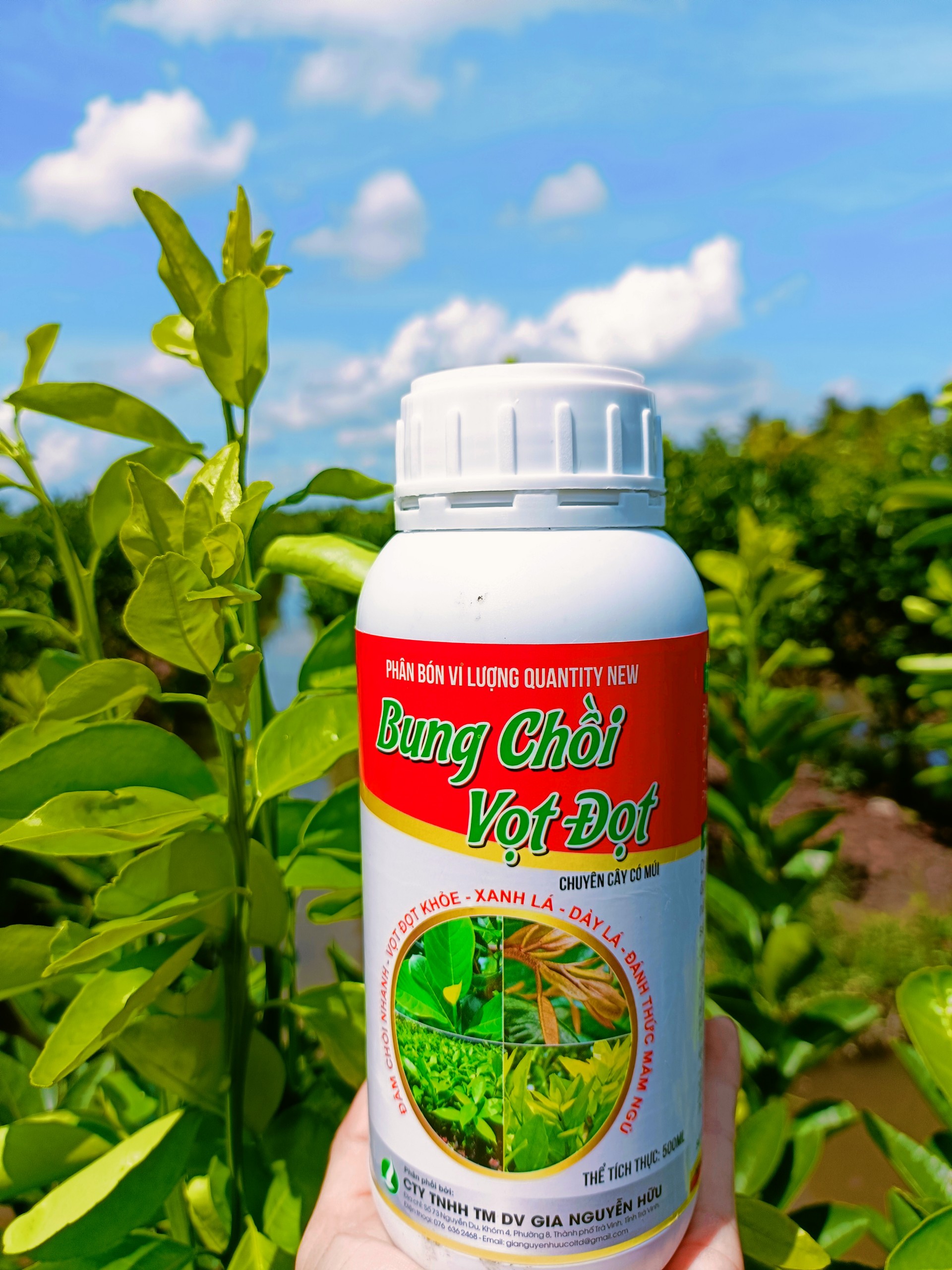 PHÂN BÓN GIÚP CÂY RA ĐỌT MẠNH, LÁ XANH MƯỚT, TĂNG SINH TRƯỞNG - BUNG CHỒI VỌT ĐỌT CHAI 500ML