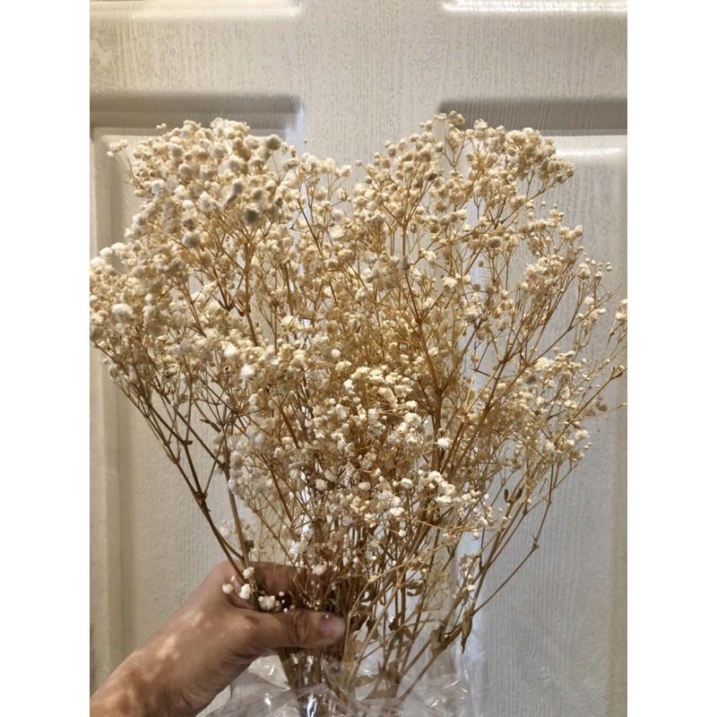 HOA BABY’s BREATH - Baby vĩnh cửu bó thô 120-130gr