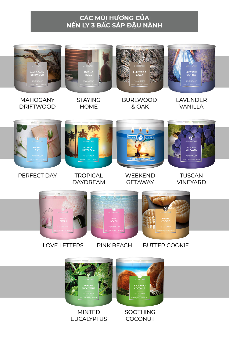 Nến ly 3 bấc sáp đậu nành Goose Creek - Minted Eucalyptus