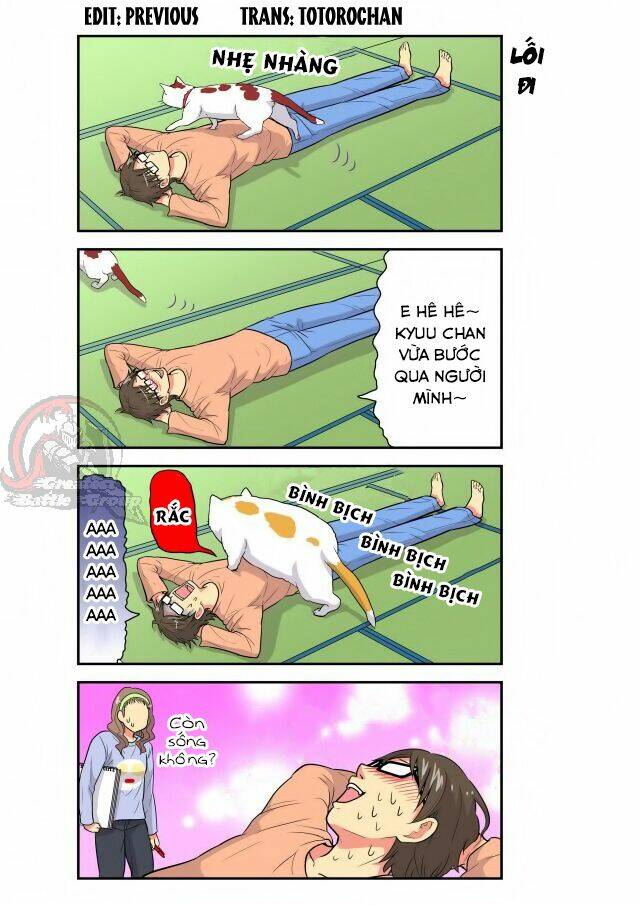 cat is silver vine chapter 11 2