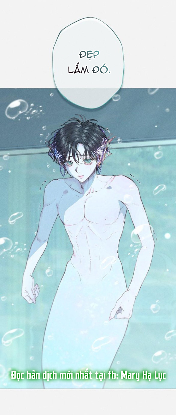 chàng tiên cá mắc kẹt trong hồ của tôi chapter 2.1 22