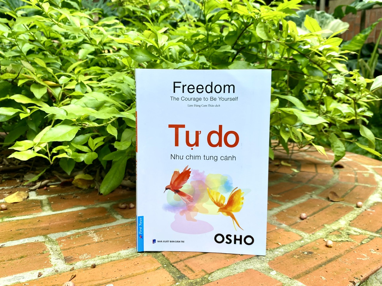Sách OSHO - Tự Do Như Chim Tung Cánh - First News - ảnh 4