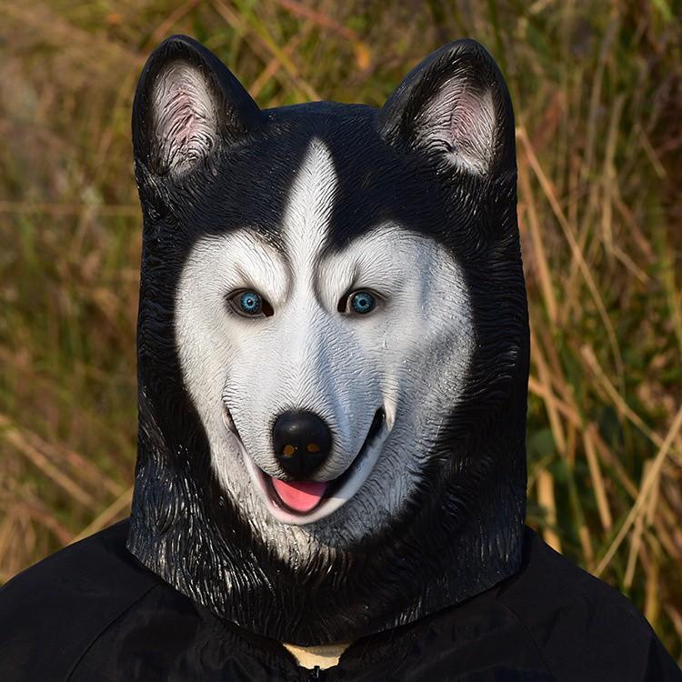 MẶT NẠ HUSKY chó ngáo trùm đầu hóa trang chó shiba chó ngáo chó sói phù hợp cho Halloween