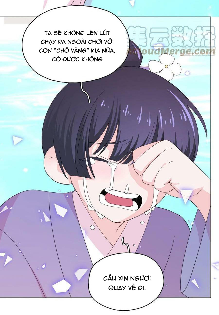 nhất hoàng cửu công thập nhị thê chapter 73 27