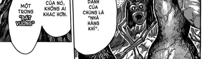 thánh tỏi sành ăn chapter 295 21