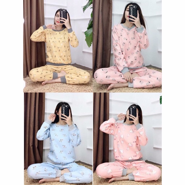 Bộ Nỉ Bông Mặc Nhà Cao Cấp Chất Dày Mịn Ấm Hình Đáng Yêu