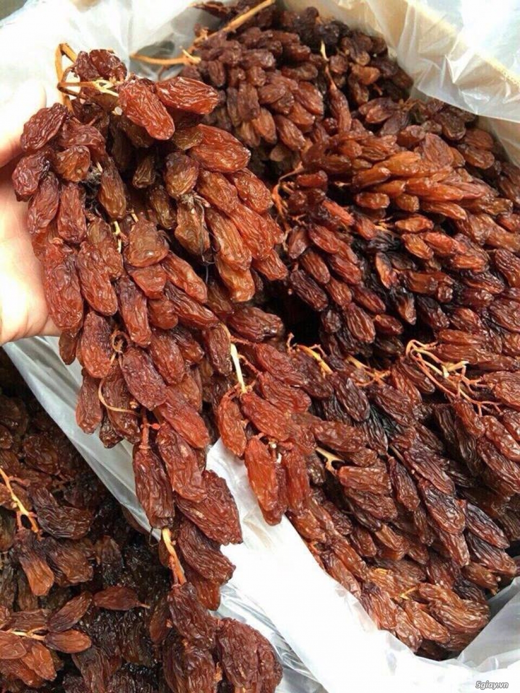 Nho Khô Không Hạt Nguyên Cành ÚC Hộp 500g- Nho khô nguyên cành ÚC