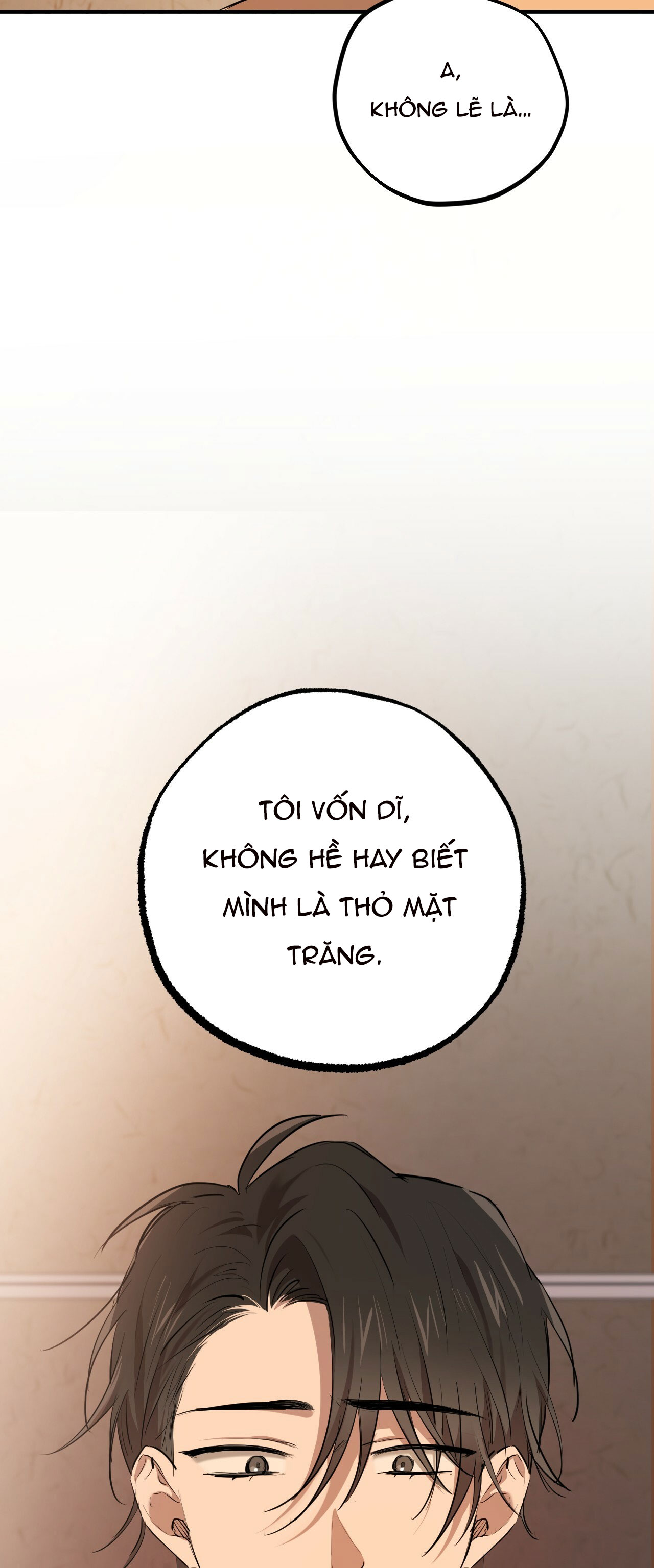 những chú thỏ của hapypy chapter 27 15