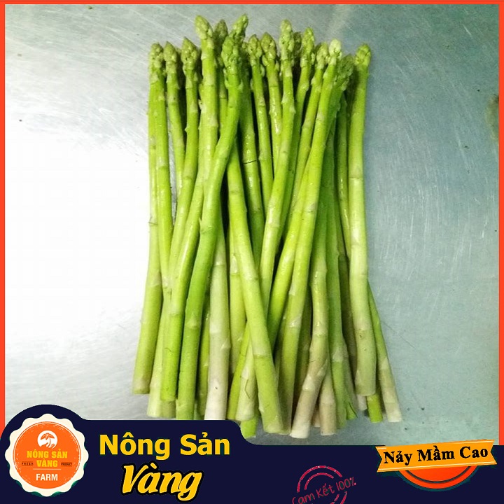 Hạt giống Măng Tây Xanh ( Gói 20 Hạt ) - Nông Sản Vàng