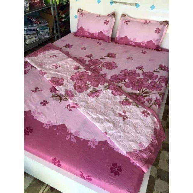 Trọn bộ 4 món drap +áo gối cotton poly đủ size