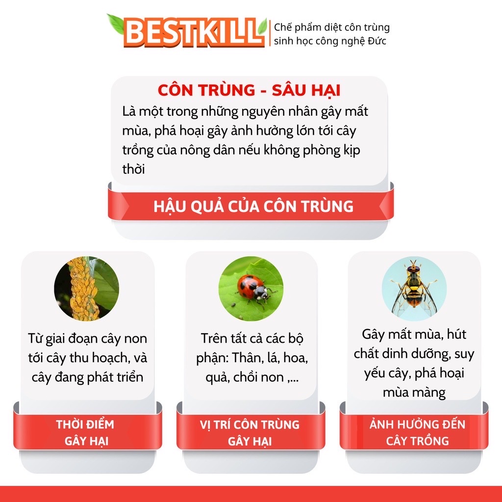 Thuốc Diệt Côn Trùng BESTKILL Công Nghệ Đức, Trừ Sâu Bọ, Rầy Rệp, Sâu Ăn Lá, Ấu Trùng Trên Lá Và Dưới Đất Chai 1000ml